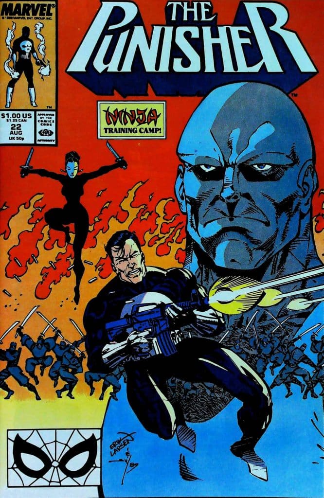 Punisher #22, vue de l'exemplaire