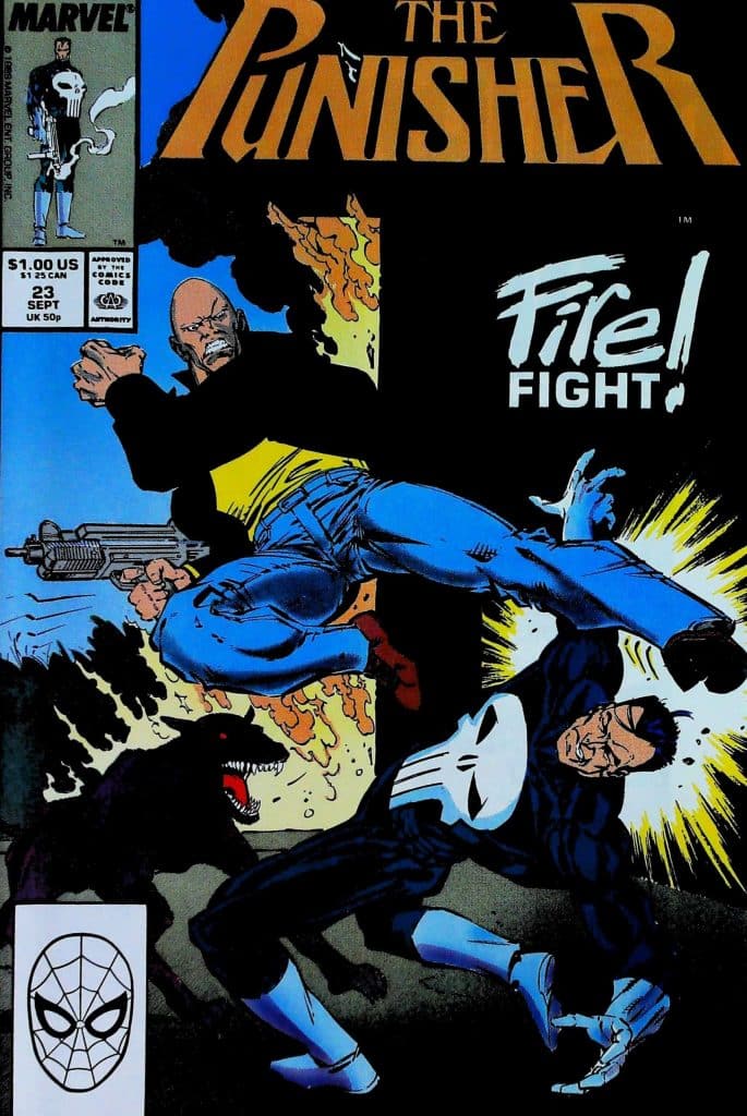 Punisher #23, vue de l'exemplaire