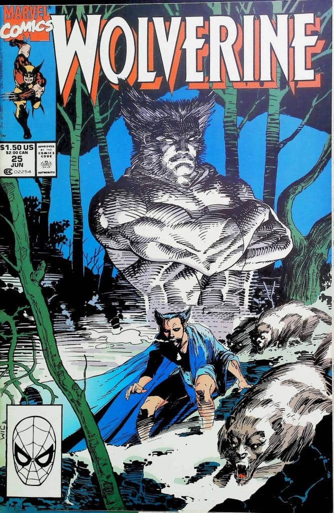 Wolverine #25, vue de l'exemplaire