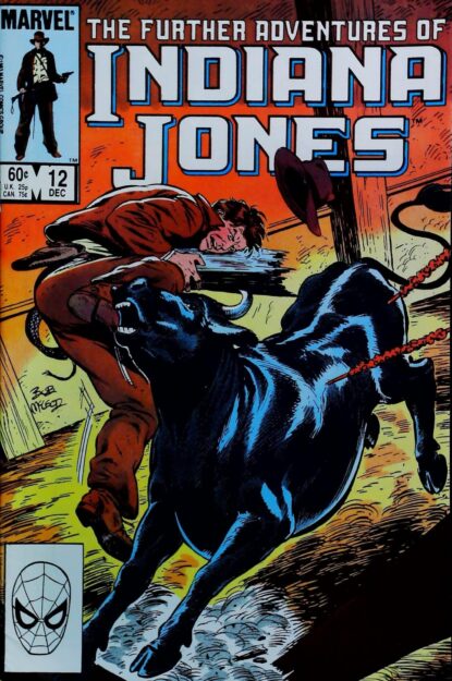 Couverture de FURTHER ADVENTURES OF INDIANA JONES #12 - par Bob McLeod - lecubeacomics.com