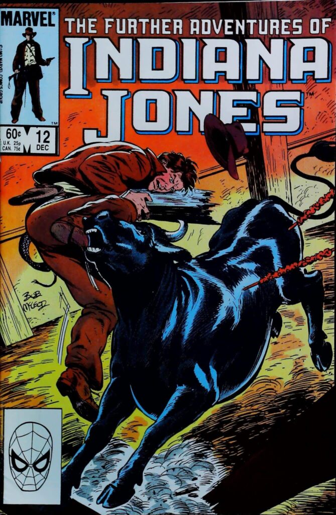 Further Adventures Of Indiana Jones #12, vue de l'exemplaire