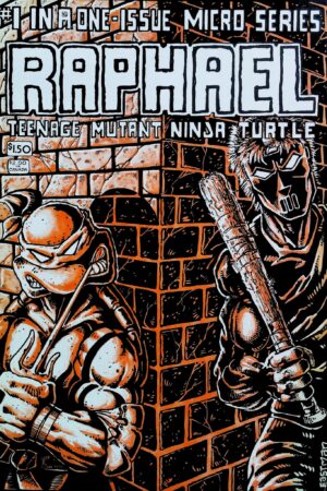 Raphael Teenage Mutant Ninja Turtle #1