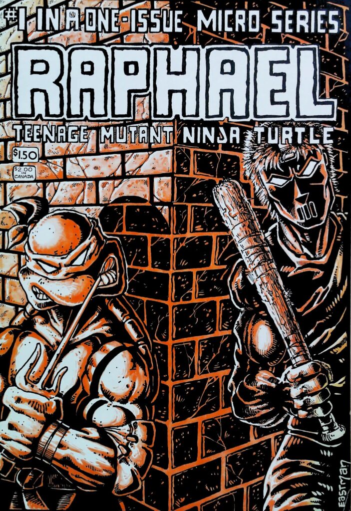 Raphael Teenage Mutant Ninja Turtle #1, vue de l'exemplaire