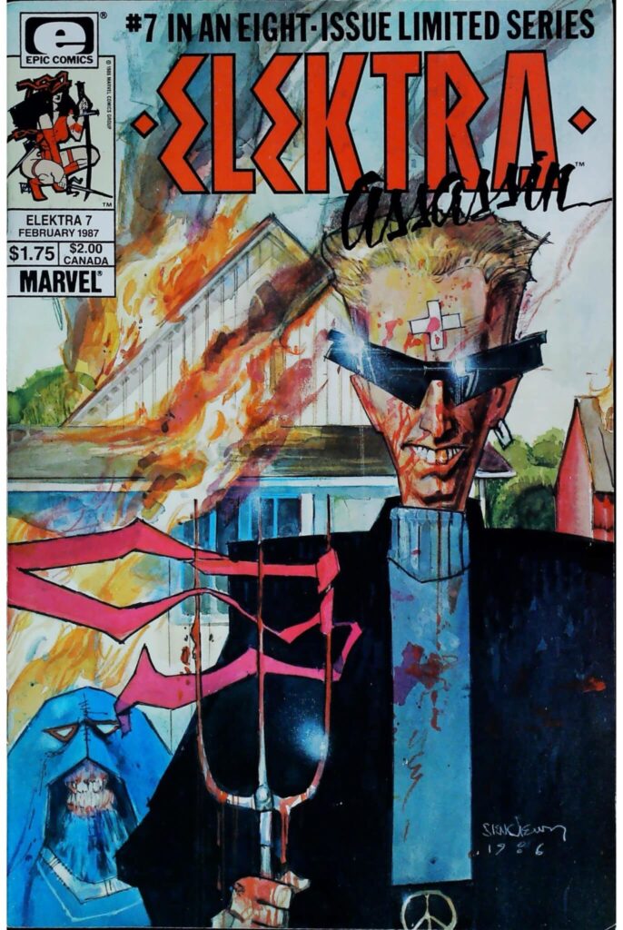 Elektra Assassin #7, vue de l'exemplaire