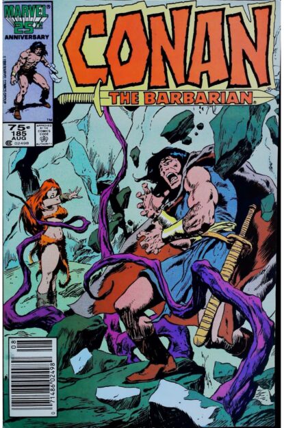 Couverture de CONAN THE BARBARIAN (1970) #185 - par Ernie Chan - lecubeacomics.com