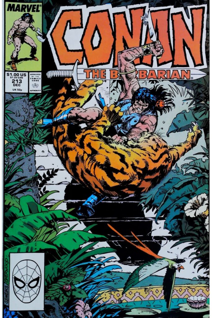 Conan The Barbarian #213, vue de l'exemplaire