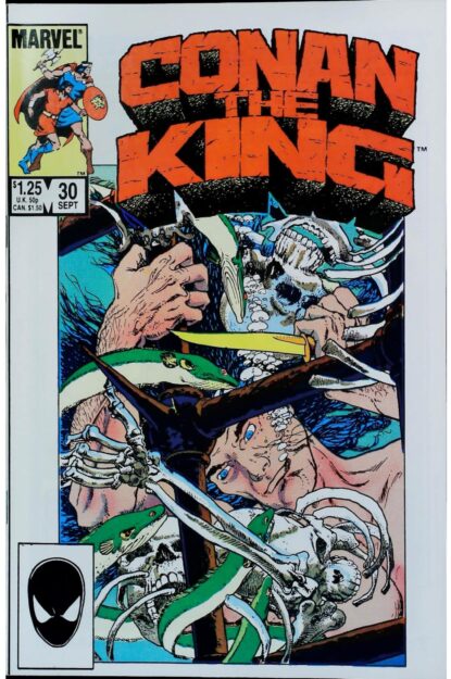 Couverture de CONAN THE KING (1984) #30 - par Mike Kaluta - lecubeacomics.com