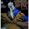 Couverture de DETECTIVE COMICS (1937) #604 - par Norm Breyfogle - lecubeacomics.com