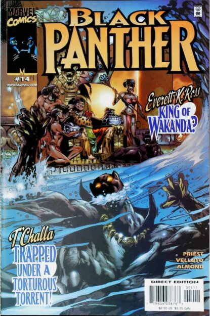 Couverture de BLACK PANTHER (1998) #14 - par Sal Velluto - lecubeacomics.com