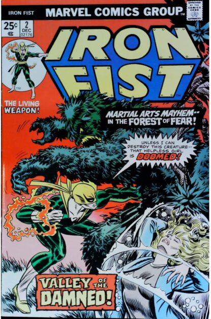 IRON FIST (1975) #2 - Marvel - lecubeacomics.com Couverture de IRON FIST (1975) #2 - par Gil Kane - lecubeacomics.com