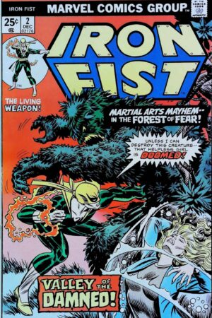 Couverture de IRON FIST (1975) #2 - par Gil Kane - lecubeacomics.com