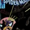 Couverture de AMAZING SPIDER-MAN (1963) #188 - par Dave Cockrum - lecubeacomics.com