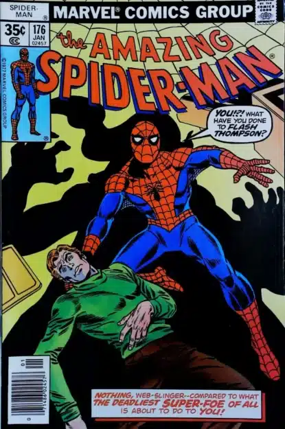 AMAZING SPIDER-MAN (1963) #176 - Marvel - lecubeacomics.com Couverture de AMAZING SPIDER-MAN (1963) #176 - par Ross Andru - lecubeacomics.com