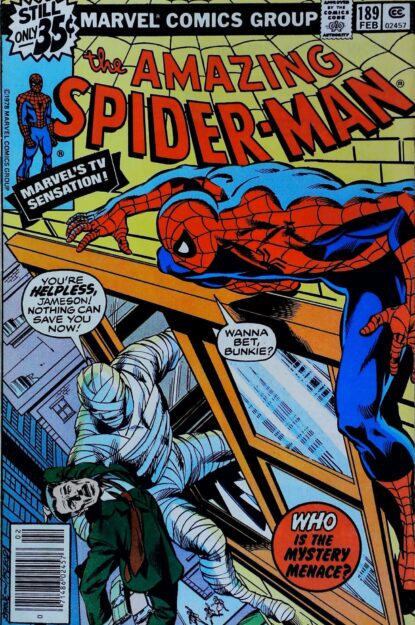 AMAZING SPIDER-MAN (1963) #189 - Marvel - lecubeacomics.com Couverture de AMAZING SPIDER-MAN (1963) #189 - par Bob McLeod - lecubeacomics.com