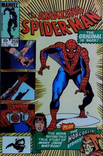 AMAZING SPIDER-MAN (1963) #259 - Marvel - lecubeacomics.com Couverture de AMAZING SPIDER-MAN (1963) #259 - par Joe Rubinstein - lecubeacomics.com