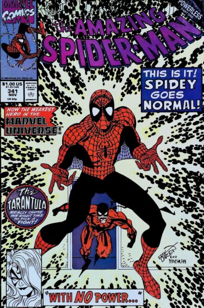 Couverture de AMAZING SPIDER-MAN (1963) #341 - par Erik Larsen - lecubeacomics.com