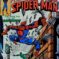 Couverture de SPECTACULAR SPIDER-MAN (1976) #47 - par Al Milgrom - lecubeacomics.com