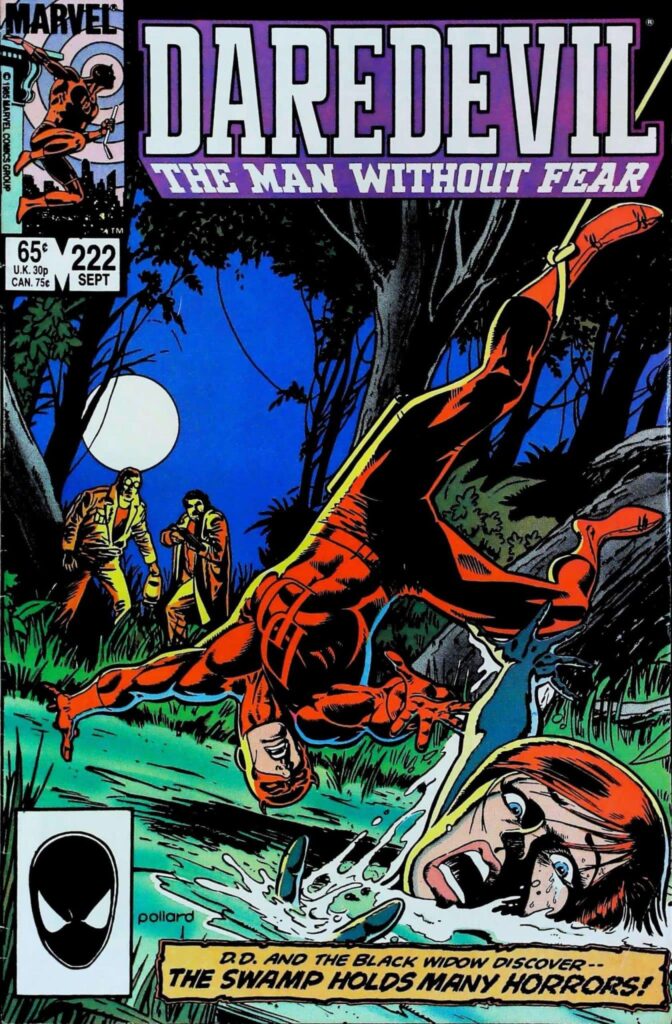 Daredevil #222, vue de l'exemplaire