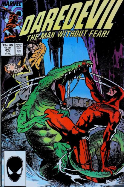 Couverture de DAREDEVIL (1964) #247 - par Charles Vess - lecubeacomics.com