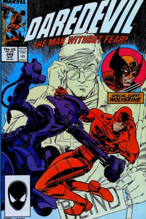 Couverture de DAREDEVIL (1964) #248 - par Al Williamson - lecubeacomics.com
