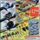 Couverture de HOWARD THE DUCK (1976) #12 - par Gene Colan - lecubeacomics.com