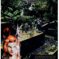Couverture de STAR WARS : EMPIRE (2002) #13 - par Brad Anderson - lecubeacomics.com