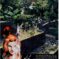 Couverture de STAR WARS : REPUBLIC (1998) #58 - par Jan Duursema-Mandrake - lecubeacomics.com