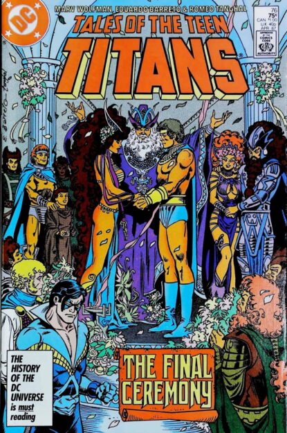 TALES OF THE TEEN TITANS (1984) #76 - DC Comics - lecubeacomics.com Couverture de TALES OF THE TEEN TITANS (1984) #76 - par Eduardo Barreto - lecubeacomics.com