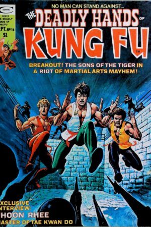 Couverture de DEADLY HANDS OF KUNG FU (1974) #16 - par Luis Dominguez - lecubeacomics.com