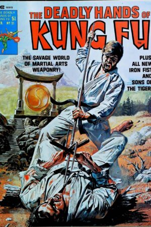 Couverture de DEADLY HANDS OF KUNG FU (1974) #21 - par Bob Larkin - lecubeacomics.com