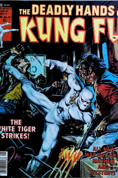 DEADLY HANDS OF KUNG FU (1974) #27 - Marvel - lecubeacomics.com Couverture de DEADLY HANDS OF KUNG FU (1974) #27 - par Earl Norem - lecubeacomics.com