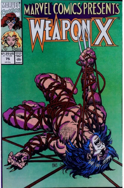MARVEL COMICS PRESENTS (1988) #75 - Marvel - lecubeacomics.com Couverture de MARVEL COMICS PRESENTS (1988) #75 - par Barry Windsor-Smith - lecubeacomics.com