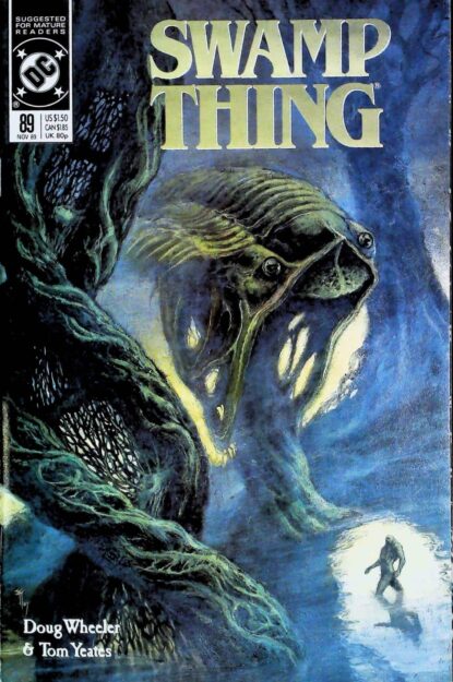 SWAMP THING (1986) #89 - DC Comics - lecubeacomics.com Couverture de SWAMP THING (1986) #89 - par John Totleben - lecubeacomics.com