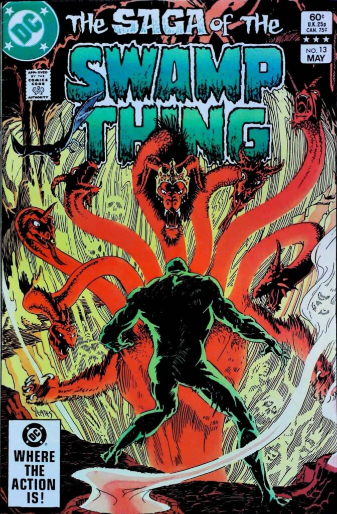 Saga Of Swamp Thing #13, vue de l'exemplaire