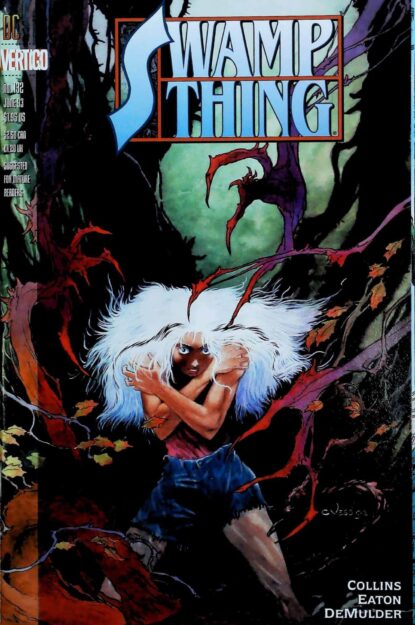 Couverture de SWAMP THING (1986) #132 - par Charles Vess - lecubeacomics.com