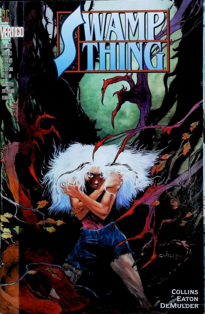 Swamp Thing #132, vue de l'exemplaire