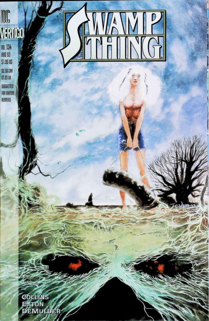 Swamp Thing #134, vue de l'exemplaire