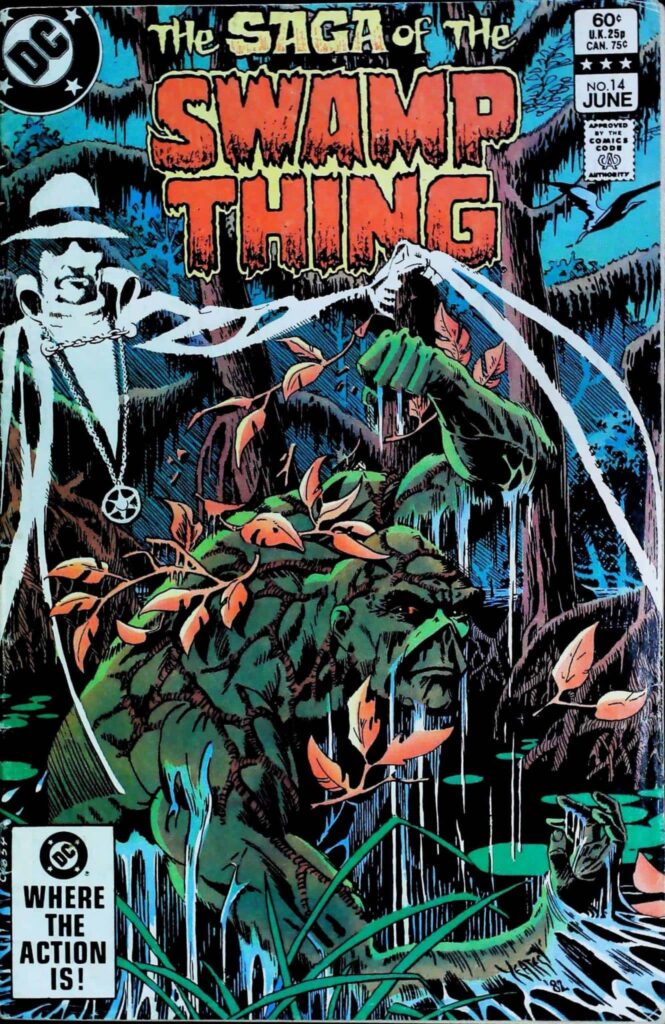 Saga Of Swamp Thing #14, vue de l'exemplaire