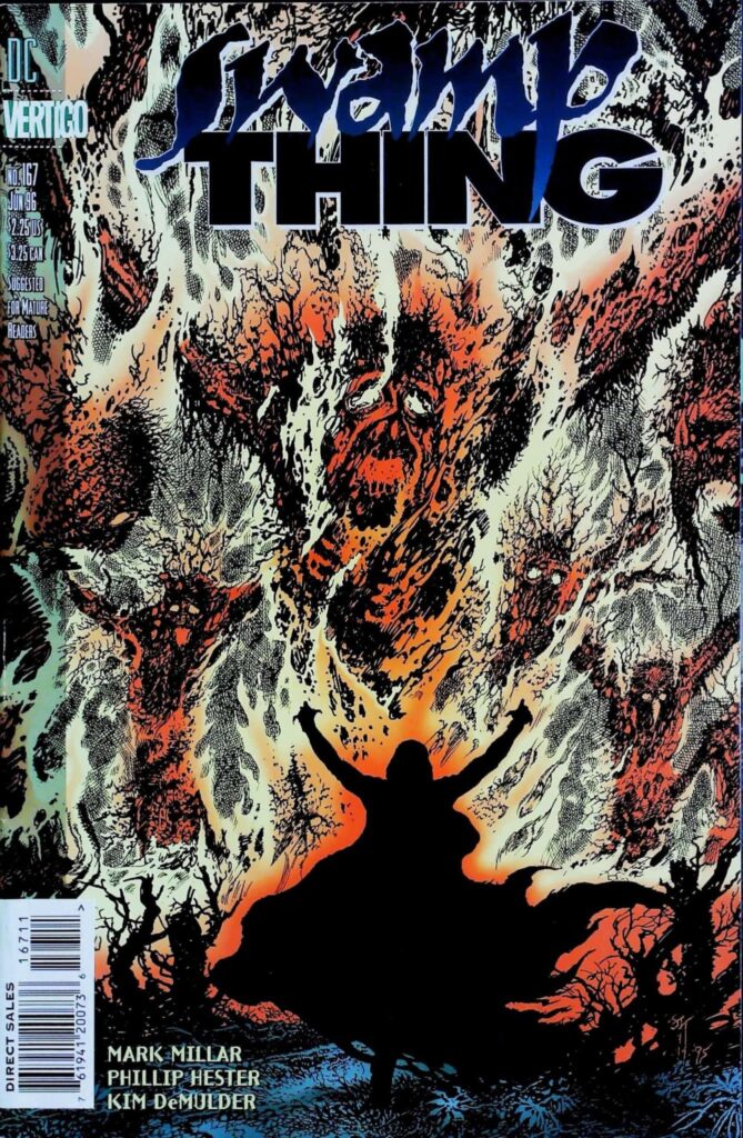 Swamp Thing #167, vue de l'exemplaire