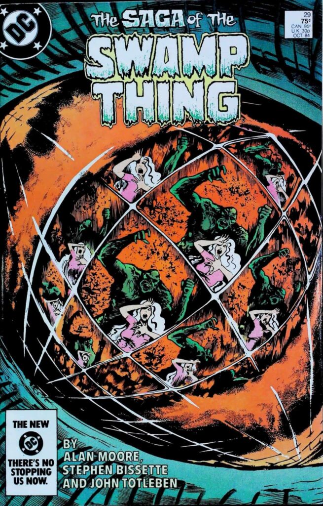Saga Of Swamp Thing #29, vue de l'exemplaire