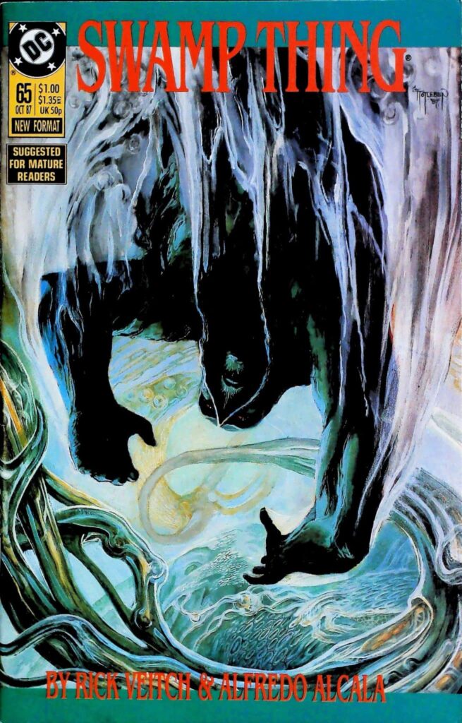 Swamp Thing #65, vue de l'exemplaire