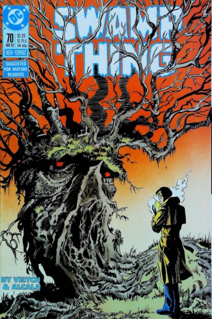 SWAMP THING (1986) #70 - DC Comics - lecubeacomics.com Couverture de SWAMP THING (1986) #70 - par Rick Veitch - lecubeacomics.com